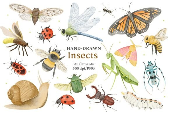Download Watercolor Insects &amp; Bugs Clipart - Insects Collection
