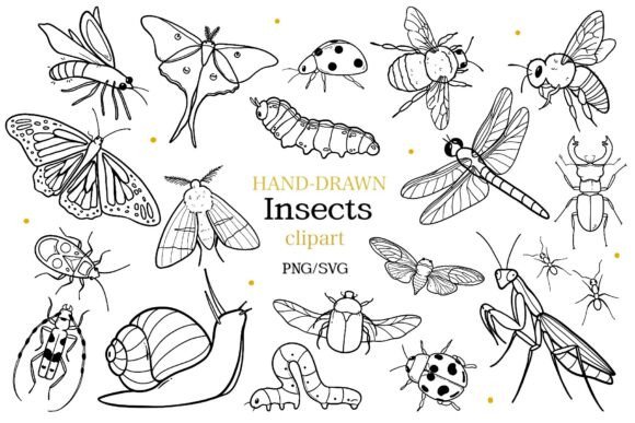 Download Insects and Bugs SVG PNG Bundle - Insects Collection