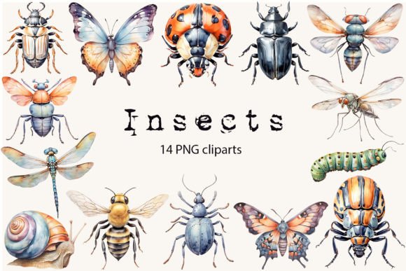 Download Insects Clipart Set - Insects Collection