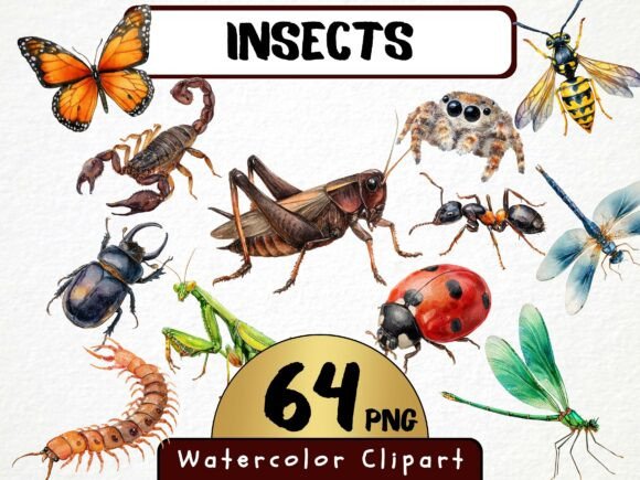 Download Insects Watercolor Clipart 64 PNG - Insects Collection
