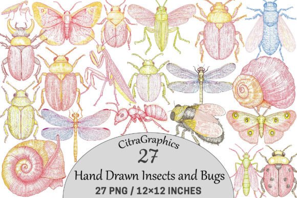 Download Hand Drawn Insects and Bugs Clipart. - Insects Collection